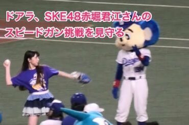 ドアラ、SKE48赤堀君江さんのスピードガン挑戦を見守る