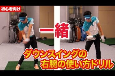 【ゴルフ初心者向け】ダウンスイングの右手の使い方練習【レッスン動画】