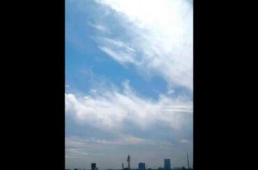 ＴＢＳラジオ　小島慶子アナ