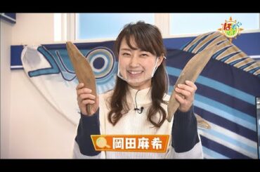 なぞマチ!?2021/01/30▽かつお節のナゾ