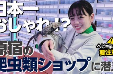 【原宿】超おしゃれ！この爬虫類ショップやばすぎる...【伊原六花】