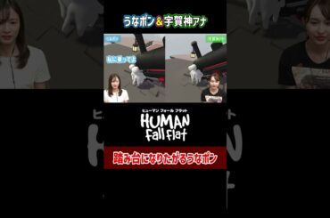 踏み台になりたがる女子アナ【Human: Fall Flat】#Shorts #宇内梨沙 #宇賀神メグ #女子アナ
