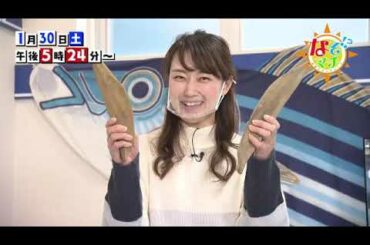 2021/01/30（土）午後5:24～なぞマチ!?▽かつお節のナゾ【番宣】