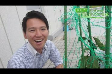 会社で野菜を育てたい！第23回｢吉弘アナの花婿修行♪｣【HOMEアナウンサー】