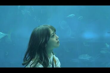 家族と一緒に美ら海水族館でまったり。〜沖縄旅行Vlog🌺