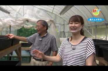 なぞマチ!?2020/09/19