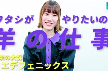 【豆柴の大群 カエデフェニックス】“ポンコツ”と言われるけれど……