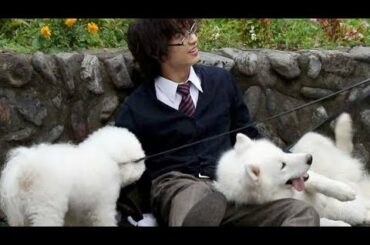 犬に異常なばかりに好かれている松岡広大／映画『兄友』メイキング