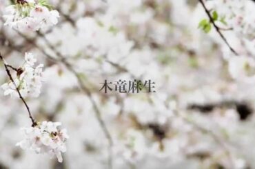 木竜麻生　Trailer3