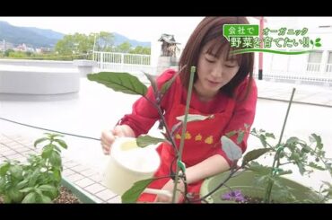 会社で野菜を育てたい！第9回｢あおいの水やり♪編｣【HOMEアナウンサー】
