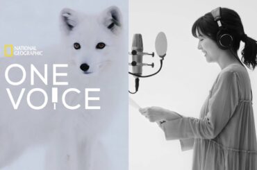 ONE VOICE：宇賀なつみ - 世界大自然紀行：スカンジナビア半島 (動物編) | ナショジオ
