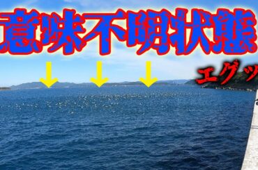 海が一変！堤防が突然とんでもない事態に…