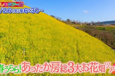 フジテレビ もしもツアーズ　PRスポット【もしツア大好き平愛梨】