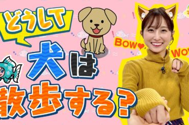 どうして犬は散歩する？／す・またん！