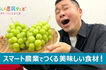 ひろしま県民テレビ「農業が変わる！？匠の技をデジタルで継承！」（令和3年10月17日）