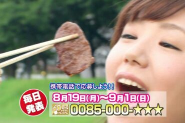 広島ホームテレビ肉祭(2013年8月19日～9月1日)