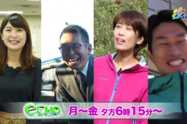 IBCテレビ「ニュースエコー」