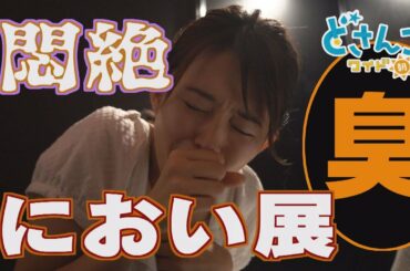 どさんこワイド朝番外編～話題のにおい展に行ってみた～1/2