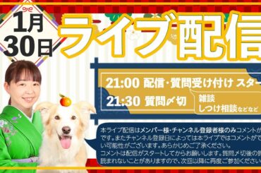 定例ライブ　しつけや雑談！1月30日　今日は21時からです！！