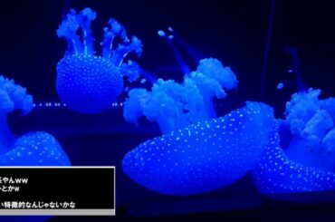 2018/6/19 おはよんぬ