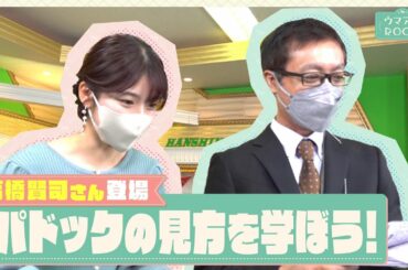 【もっと競馬が楽しくなる！】初心者の方も必見！レース直前、パドックの楽しみ方とは？