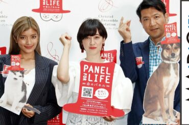 ローラ、滝川クリステル＆別所哲也と「保護犬、保護猫」を語る　「Panel for Life 命のパネル」発表会2