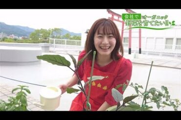 会社で野菜を育てたい！第10回｢続：あおいの水やり♪編｣【HOMEアナウンサー】