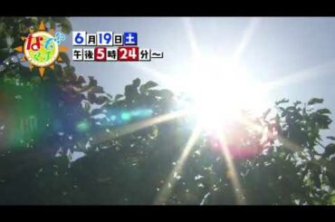 2021 06 19（土）なぞマチ!?▽電気の自給自足！？【番宣】