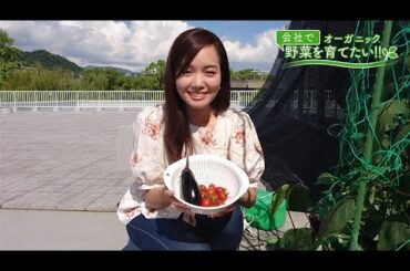 会社で野菜を育てたい！第24回｢梅雨の晴れ間に♪｣【HOMEアナウンサー】