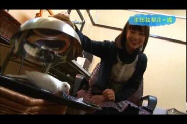 乃木坂46　『生田絵梨花　-Digest-』