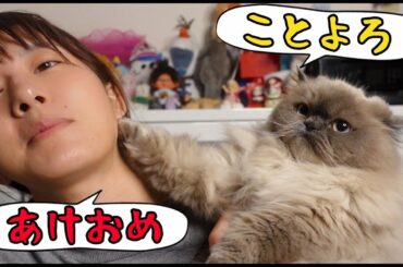 すっぴんあけおめ〜猫2匹と共に～