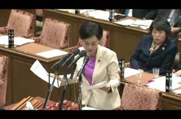 畑野君枝 共産党 予算委員会 2018年2月19日