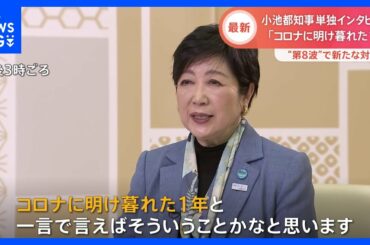 小池都知事単独インタビュー「コロナに明け暮れた1年」｜TBS NEWS DIG