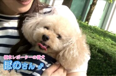 週刊アスモノ #34 「ハイエンドスマホ」