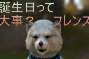 11月4日　 お誕生日おめでとうございます。+運勢　#樋口了一　＃1/6の夢旅人　＃動物系ユーチューバー