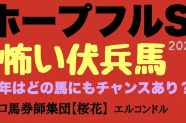 プロ馬券師集団桜花エルコンドル氏のホープフルステークス2022怖い伏兵馬！！今年は例年より飛び抜けた馬はおらず力は拮抗？！展開次第ではどの馬にもチャンスあり！