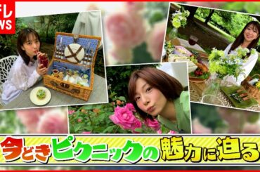 【魅力】隅々までコーディネートサービス　ピクニック"グッズ"のレンタルも