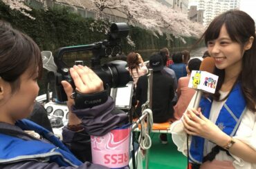 しながわEYE　未公開映像「目黒川の桜編」