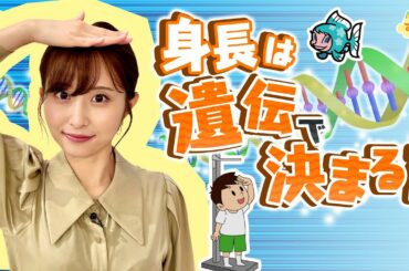 す・またん！『身長は遺伝で決まる？』～実は○割が親の遺伝!?～