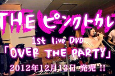 大森靖子＆THEピンクトカレフ LIVE DVD 『OVER THE PARTY』12月13日発売！！！