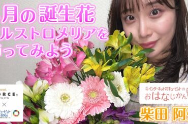 「4月の誕生花 アルストロメリアを飾ってみよう」花キューピットの“おはなじかん”｜セント・フォースタイアップ企画