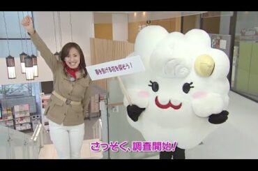 【三次めぐり隊】3月2日放送『春を告げる花』をめぐり隊♪