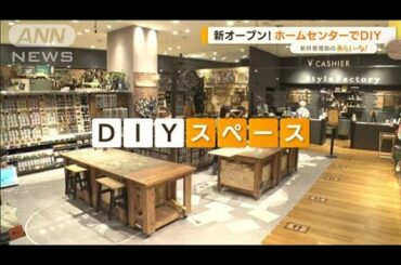 大人気！都市型ホームセンターでDIY　新井恵理那が「掃除機ラック」を【あらいーな】(2022年8月31日)