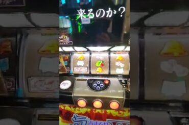 ラブ嬢2 永井理子登場