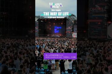 会場の一体感がすごい！ #shorts #RAS #ライブ #Raychell #小原莉子 #夏芽 #倉知玲鳳 #紡木吏佐