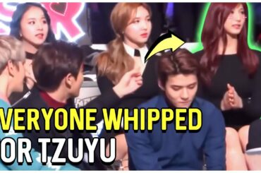 Everyone Being Whipped For Twice Tzuyu