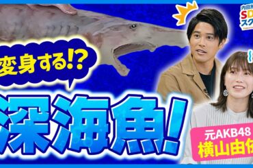 知られざる深海生物の世界！海の生物とSDGs 後編