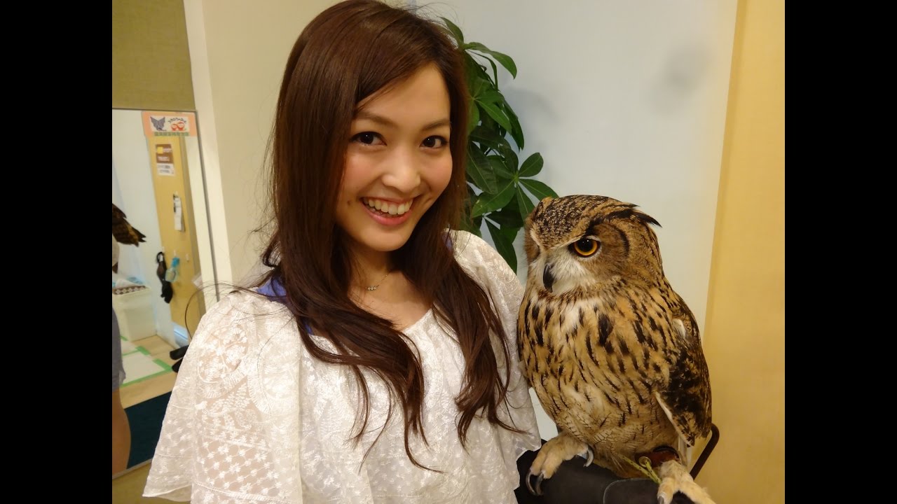 福田典子アナウンサーがモヤさま後任決定！ 可愛い画像コレクション Moe Zine