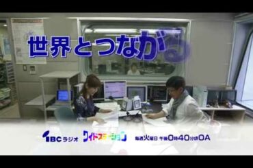 IBC岩手放送　ワイドステーション　CM