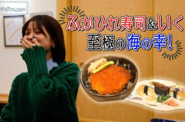 【工藤美桜×気仙沼グルメ旅！】名物のふかひれ＆絶品いくらをぜいたくに！〈ロコレコ！〉